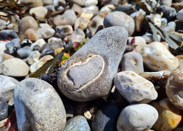 Le Chant Des Bénédictins